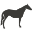 Equitation