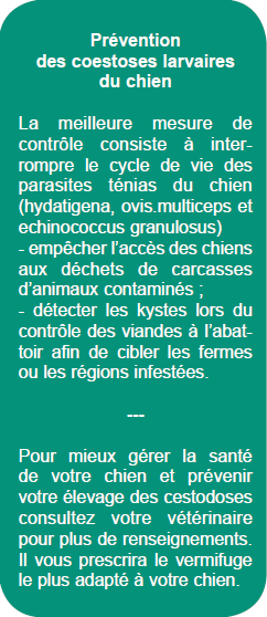 Prévention des coestoses du chien