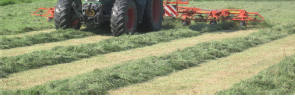 tracteur