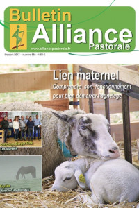 Bulletin de l'Alliance Pastorale N°881 - Octobre 2017
