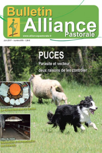 Bulletin de l'Alliance Pastorale N°878 - Juin 2017