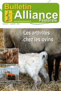 Bulletin de l’Alliance Pastorale N°874 - Février 2017