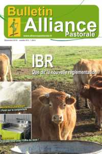 Bulletin de l’Alliance Pastorale N°872 - Décembre 2016