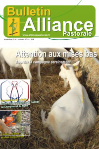 Bulletin de l’Alliance Pastorale N°871 - Novembre 2016