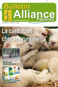 Bulletin de l’Alliance Pastorale N°870 - Octobre 2016