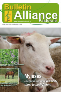Bulletin de l’Alliance Pastorale N°868 - Juillet-Août 2016