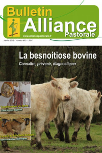 Bulletin de l’Alliance Pastorale N°862 - Janvier 2016