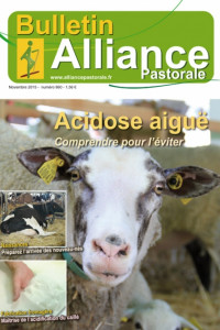 Bulletin de l’Alliance Pastorale N°860 - Novembre 2015