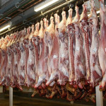 Abattoirs : Nouveau service aux éleveurs bovins