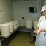 Maîtrise  de l’acidification du caillé