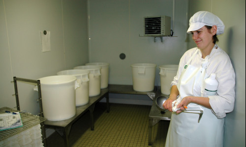Maîtrise  de l’acidification du caillé