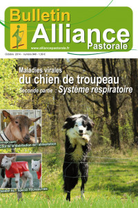 Bulletin de l'Alliance Pastorale N° 848 - Octobre 2014