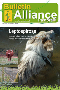 Bulletin de l'Alliance Pastorale N°853 - Mars 2015
