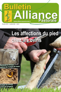 Bulletin de l'Alliance Pastorale N°852 - Février 2015