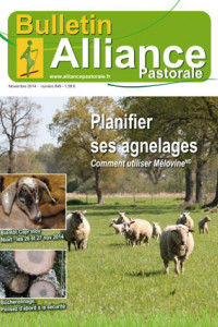 Bulletin de l'Alliance Pastorale N°849 - Novembre 2014