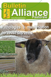 Bulletin de l'Alliance Pastorale N°846 - Juillet-Août 2014