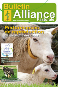 Bulletin de l'Alliance Pastorale N°841 - Février 2014