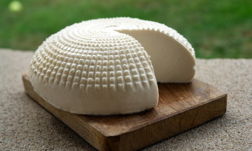 Du lait au fromage, lancez-vous !
