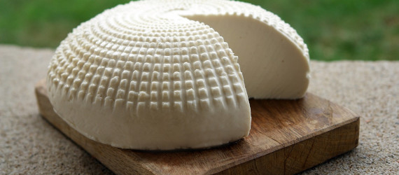 Du lait au fromage, lancez-vous !