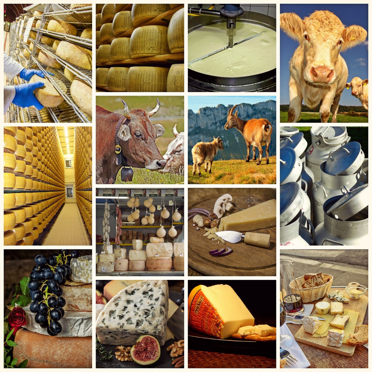 Les huit grandes familles de fromages