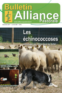 Bulletin de l'Alliance Pastorale N°883 - Décembre 2017