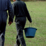 Population active féminine en agriculture en 2014 Les femmes assument une part importante de l’emploi en agriculture