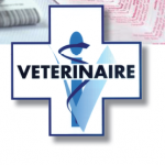 Lire et comprendre une notice pharmaceutique