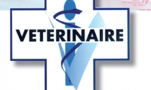 Lire et comprendre une notice pharmaceutique