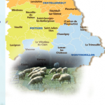 MYIASES : émergences de cas à Wohlfahrtia dans le sud-Vienne