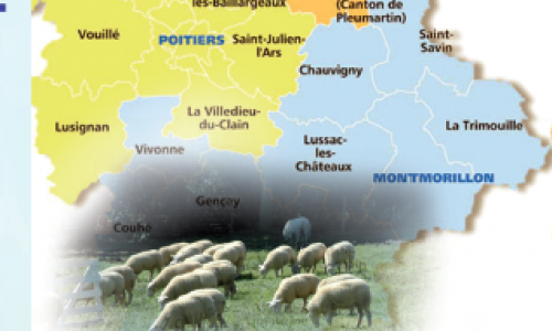 MYIASES : émergences de cas à Wohlfahrtia dans le sud-Vienne