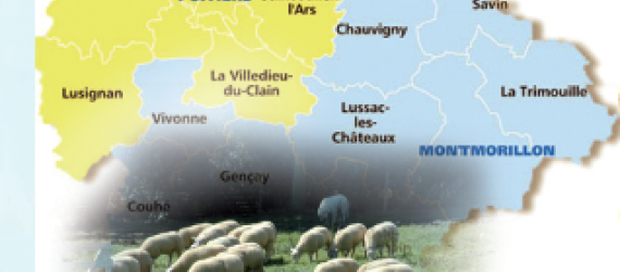 MYIASES : émergences de cas à Wohlfahrtia dans le sud-Vienne
