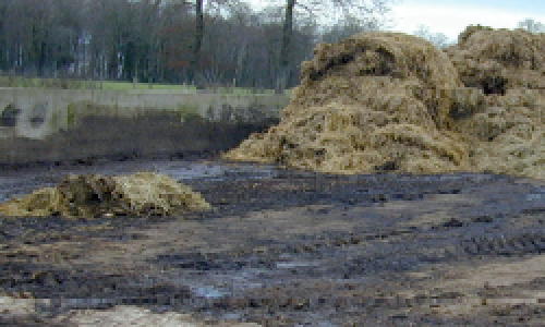 Effluents d’élevage : du stockage à l’épandage