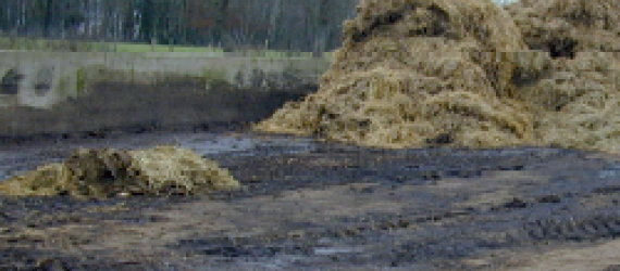 Effluents d’élevage : du stockage à l’épandage