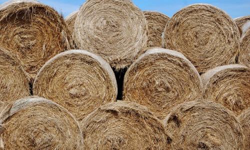 Paille et fourrages. Attention au feu !