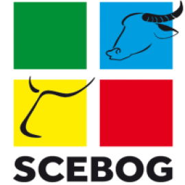 Relais Scebog (Guyane)