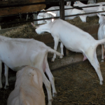 Spécial hygiène des bâtiments