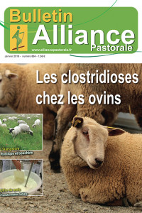 Bulletin de l'Alliance Pastorale N°884 - Janvier 2018