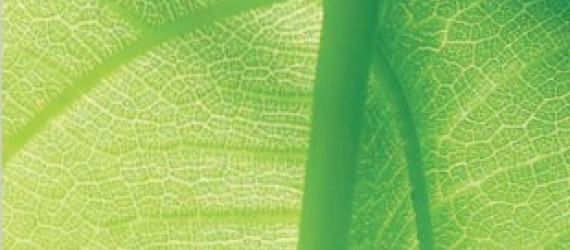Comprendre  la PHYTOTHERAPIE  et l’AROMATHERAPIE