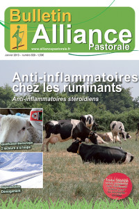 Bulletin de l'Alliance Pastorale N°829 - Janvier 2013