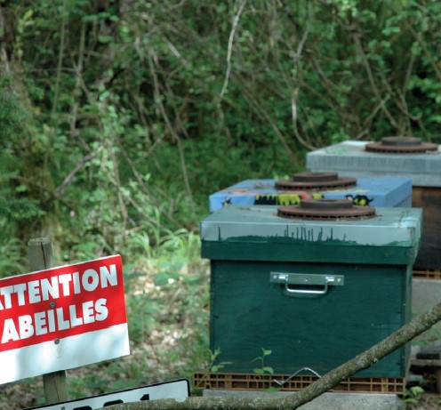 Des ruches à la ferme ? Pourquoi pas !