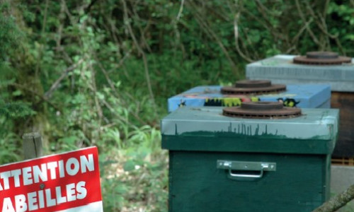 Des ruches à la ferme ? Pourquoi pas !