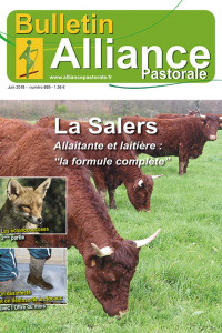 Bulletin de l'Alliance Pastorale N°889 - Juin 2018