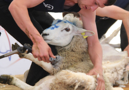 Run 24h de tonte - @Phoebus Communication - Run 24h de tonte - @Phoebus Communication -