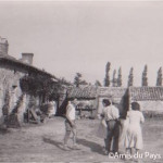 Salon du livre de Montmorillon “L’Agriculture au 20ème siècle à Civaux” a reçu le prix Nature et terroirs de l’Alliance Pastorale