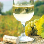 Les agriculteurs aiment le Tour - Etape 4 - Le Muscadet et la Farine de blé noir de Bretagne