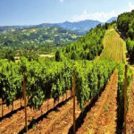 Les agriculteurs aiment le Tour - Etape 18 - Le Vin de Madiran