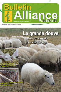 Bulletin de l'Alliance Pastorale N°891 - Septembre 2018