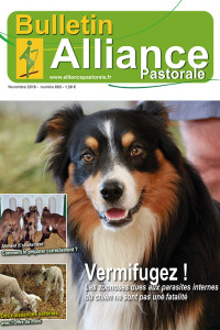 Bulletin de l'Alliance Pastorale N°893 - Novembre 2018