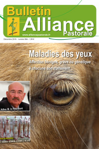 Bulletin de l'Alliance pastorale N°894 - Décembre 2018