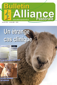 Bulletin de l'Alliance Pastorale N°895 - Janvier 2019